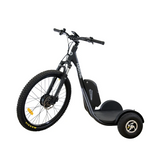 Mobitrike 5.0 Electric Trike